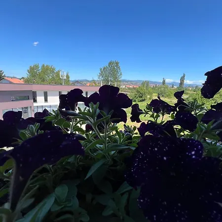Ilidza Apartmant * سراييفو